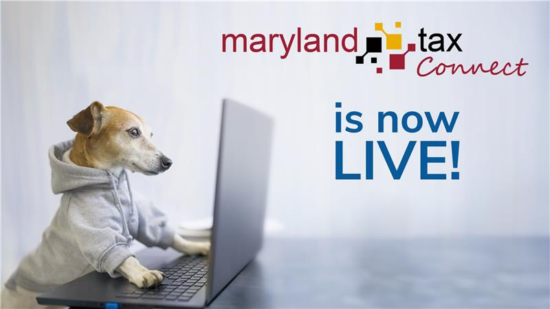 Dog using MD TaxCOnenct on computer