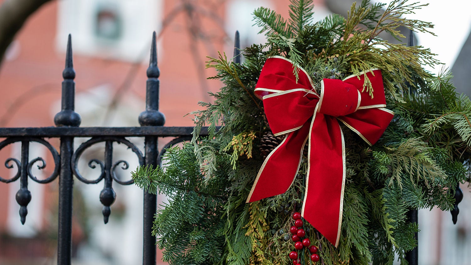 Seasonal Christmas Decorations Annapolis Maryland