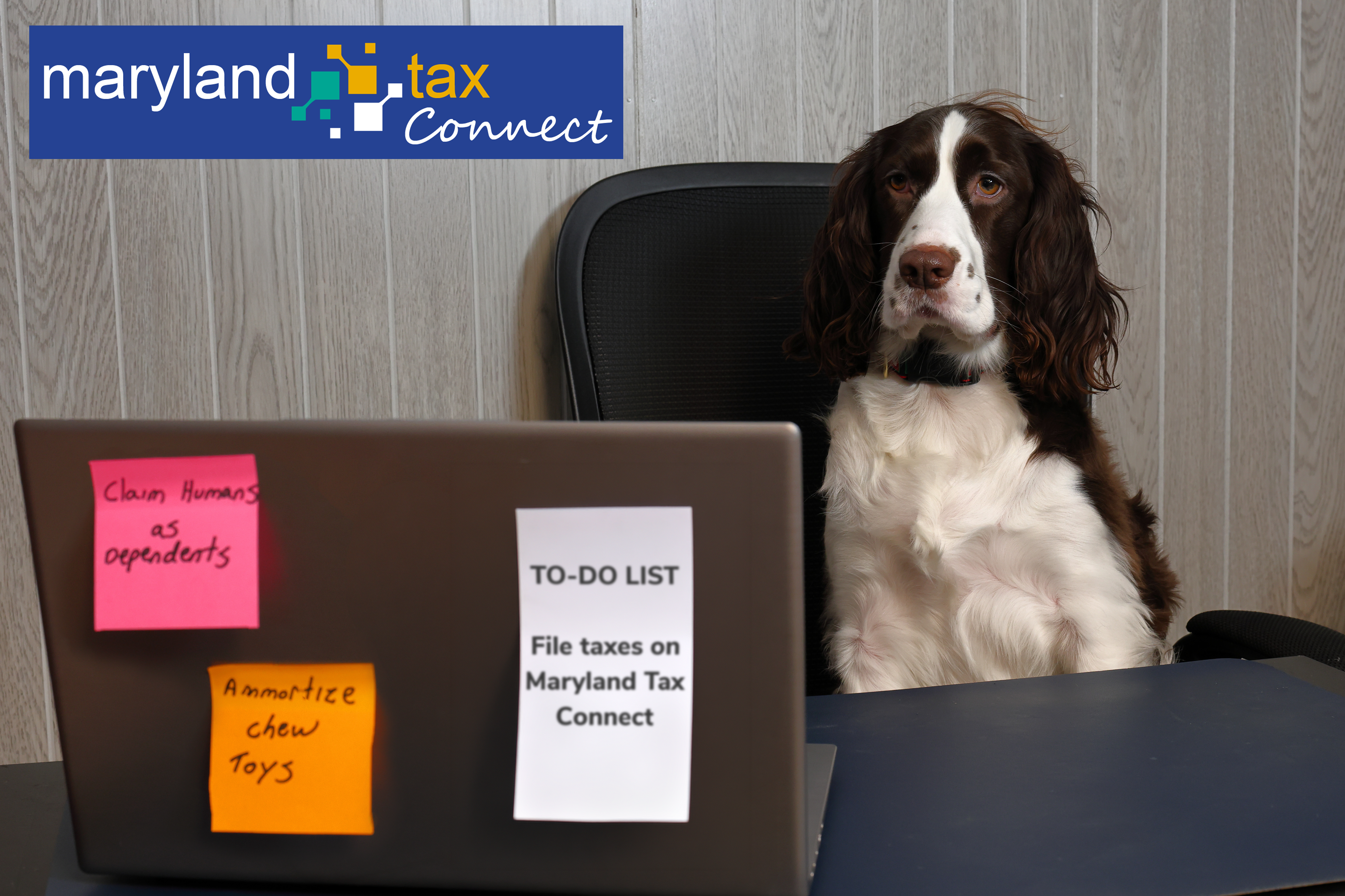 Dog filing Maryland taxes on Maryland Tax Connect
