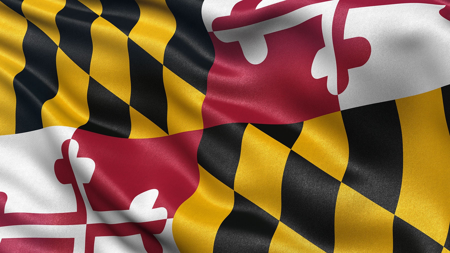 US state flag of Maryland, red, white, black and gold waving in the wind.