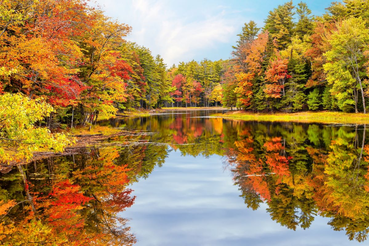 Rocky Gap State Park Lake Habib