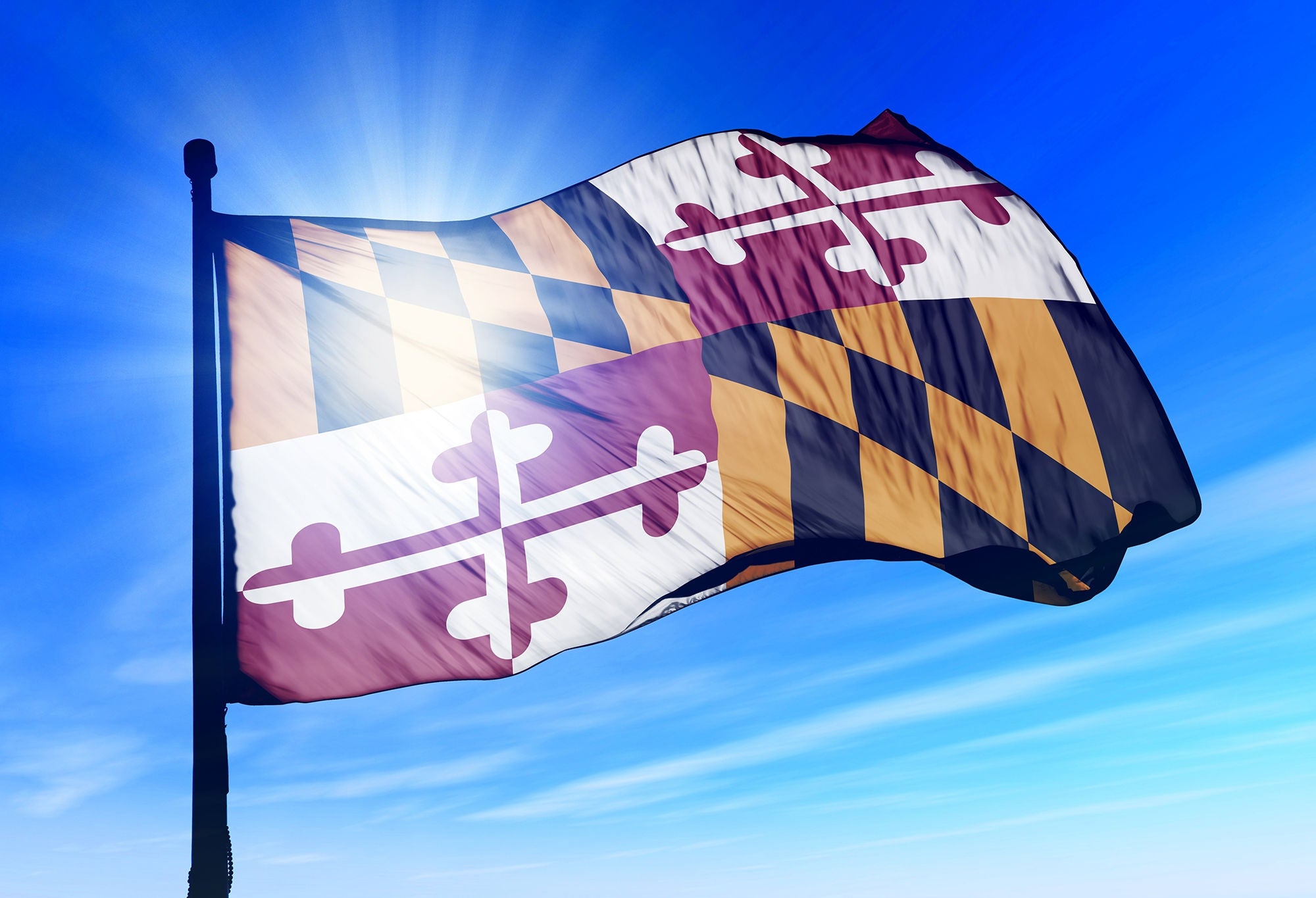 Maryland (USA) flag waving on the wind